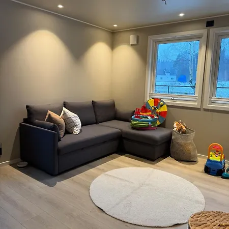 Stor Enebolig Med Stor Inngjerdet Hage Og Lekestativ! Perfekt For Barnefamilier Holiday home Jevnaker